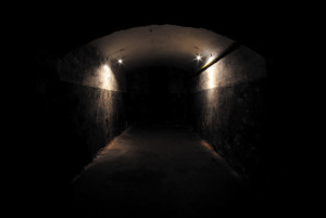 wnętrze cellar