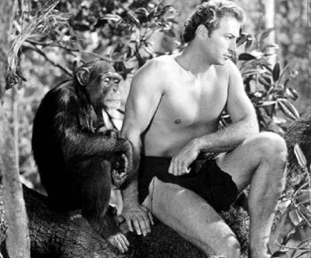 Najsłynniejszy filmowy Tarzan, Johnny Weissmueller