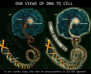 i-4a4fed9d139b468634c42bf3203cb28e-consciousness_to_cell-to-DNA
