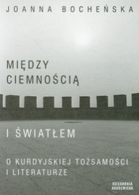 Miedzy-ciemnoscia-a-swiatlem_Joanna-Bochenska,images_product,1,978-83-7638-086-5