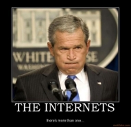 Bush internet