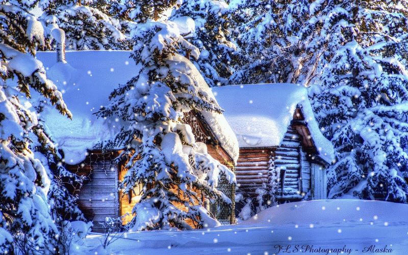 156993_domki_las_snieg_zima-SNOW