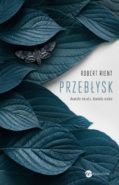przeblysk-390